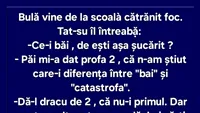 BANC | Bulă, baiul și catastrofa