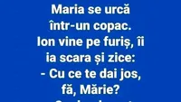 BANC | Maria se urcă într-un copac. Ion vine pe furiș și ia scara: Cu ce te dai jos?