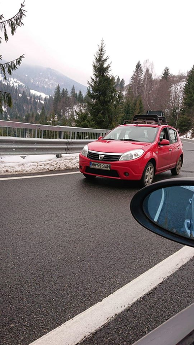 Caz șocant în Maramureș! Un câine a fost împușcat în fața unui copil de 6 ani