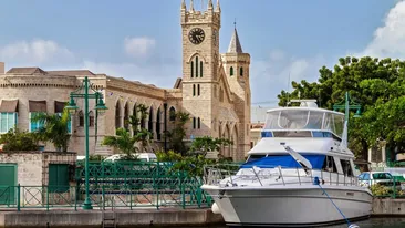 Cel mai mic șarpe din lume are doar 10 cm. A reapărut în Barbados, la 20 de ani de la ultima apariție