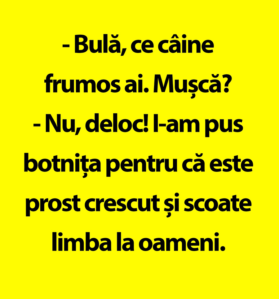 BANC | Câinele lui Bulă