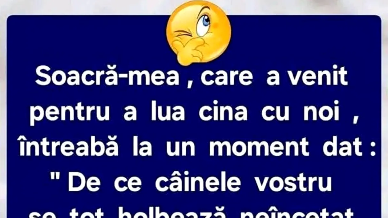 Bancul sfârșitului de săptămână | Soacra și câinele
