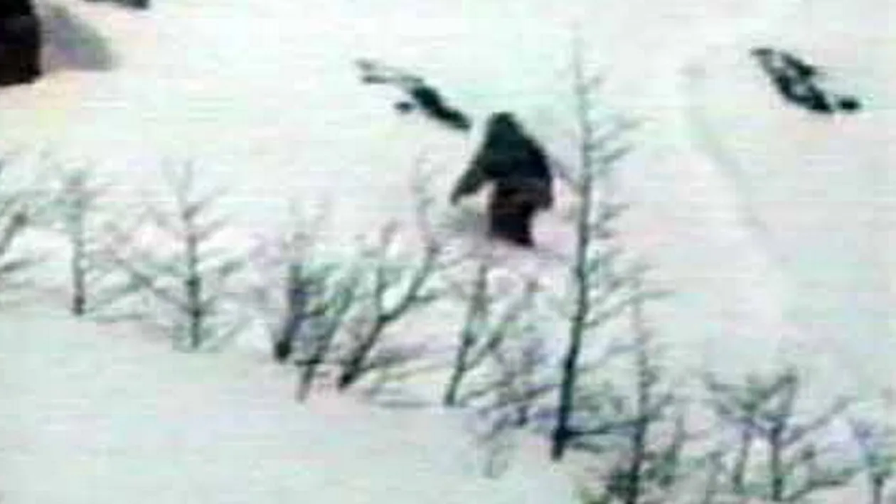 Unul dintre cele mai vechi mistere ale omenirii a fost elucidat! Uite ce este de fapt LEGENDARA CREATURA