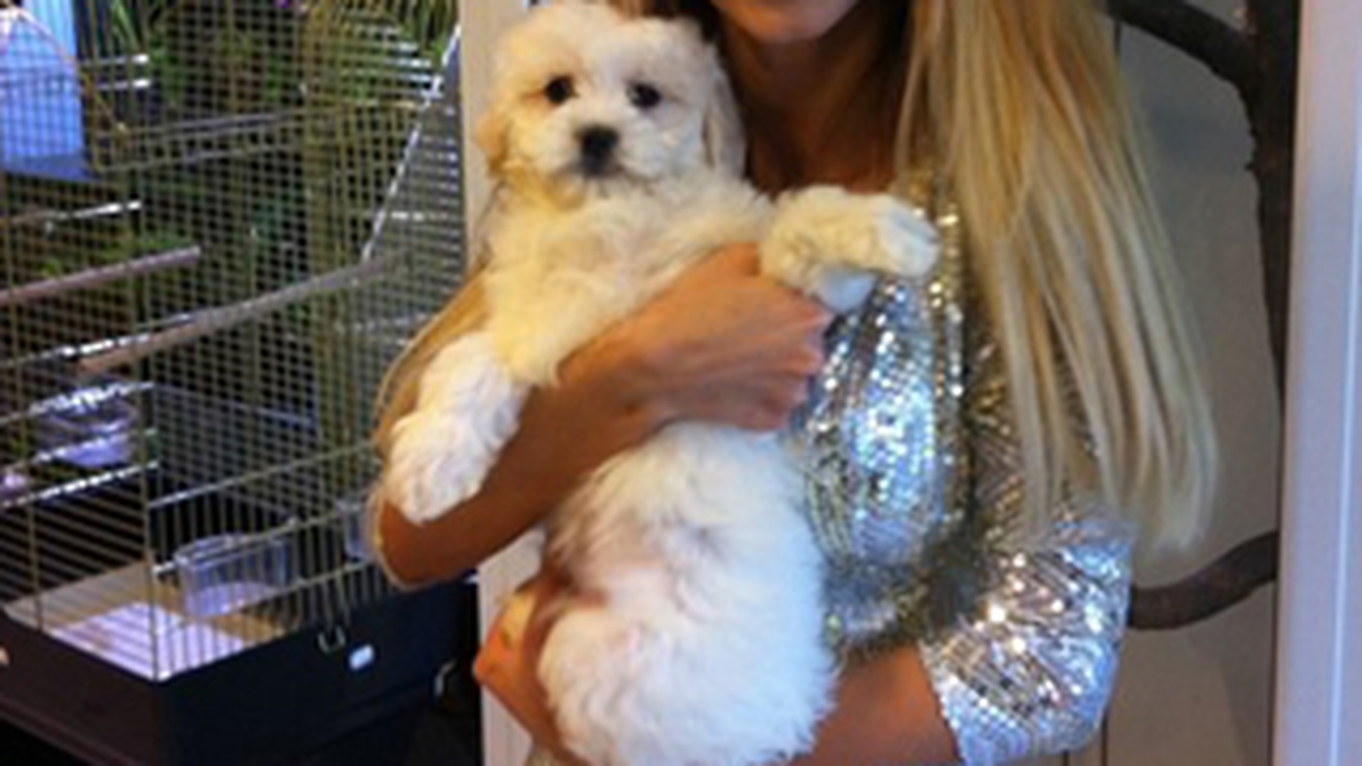 Ia in brate tot ce prinde! Andreea Balan merge la petshop in timpul concertelor