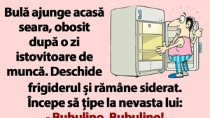 BANCUL ZILEI | "Bubulino, unde-s cele 12 beri din frigider?"