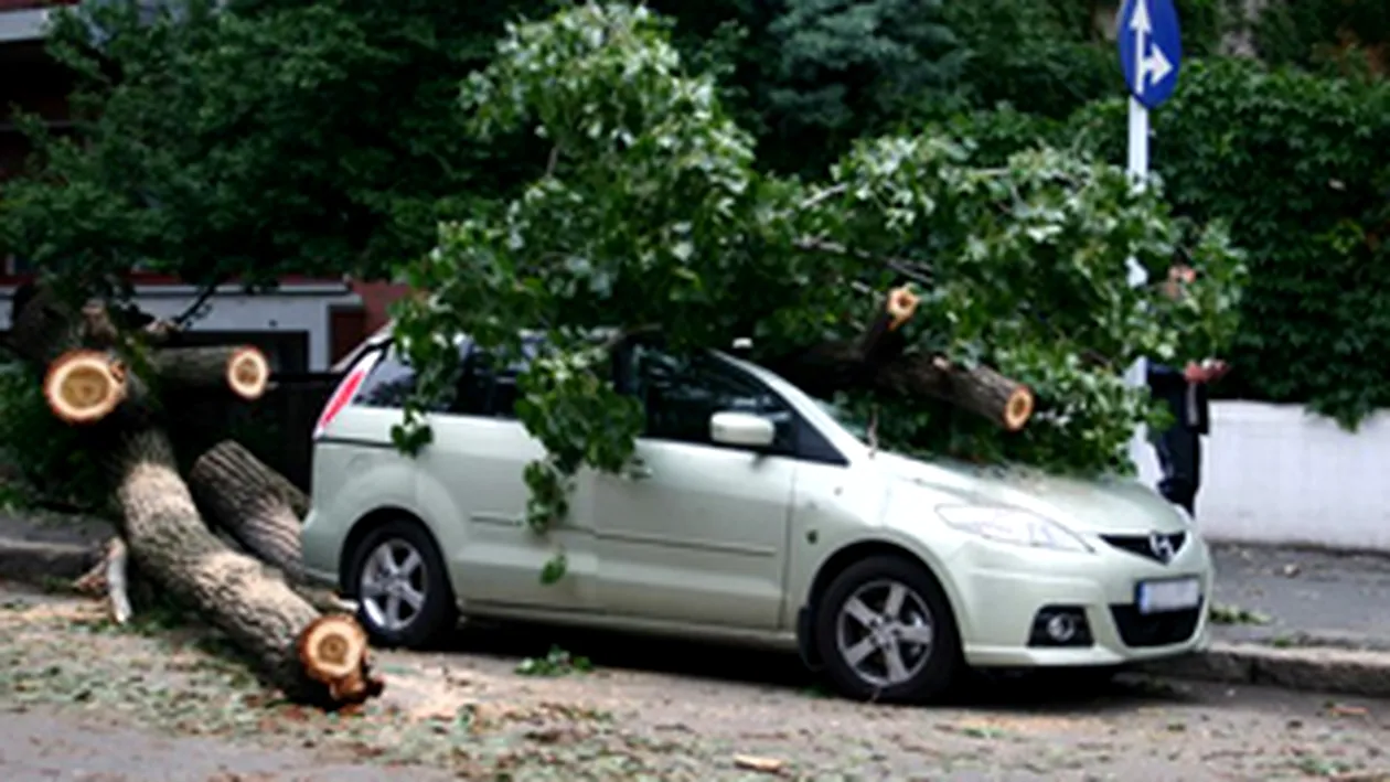 Furtuna a rupt copacii si a smuls acoperisurile unor case din Ploiesti!