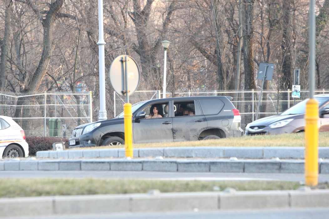 Ioana Nae a ”comis-o” în trafic
