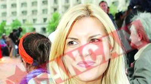 Vanghelie il acuza pe Videanu de inca o licitatie trucata in favoarea Elenei Udrea
