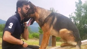 Câinele-erou de la Amatrice a fost omorât! Deși a salvat zeci de vieți, animalul a fost ucis tot de oameni