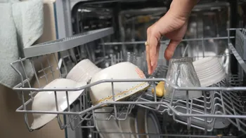 Ce se întâmplă dacă pui un prosop pe ușa mașinii de spălat vase, la finalul ciclului. Experții spun că ai procedat greșit