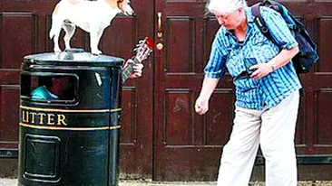 Canta in tomberon pazit de caine