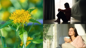 Plantele care te ajută să scapi de stres și oboseală. Ce recomandă specialiștii