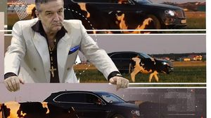 Uite-l pe Gigi Becali cum supervizează vacile pe miriște din Bentley-ul de 250.000 €, deși are cioban!