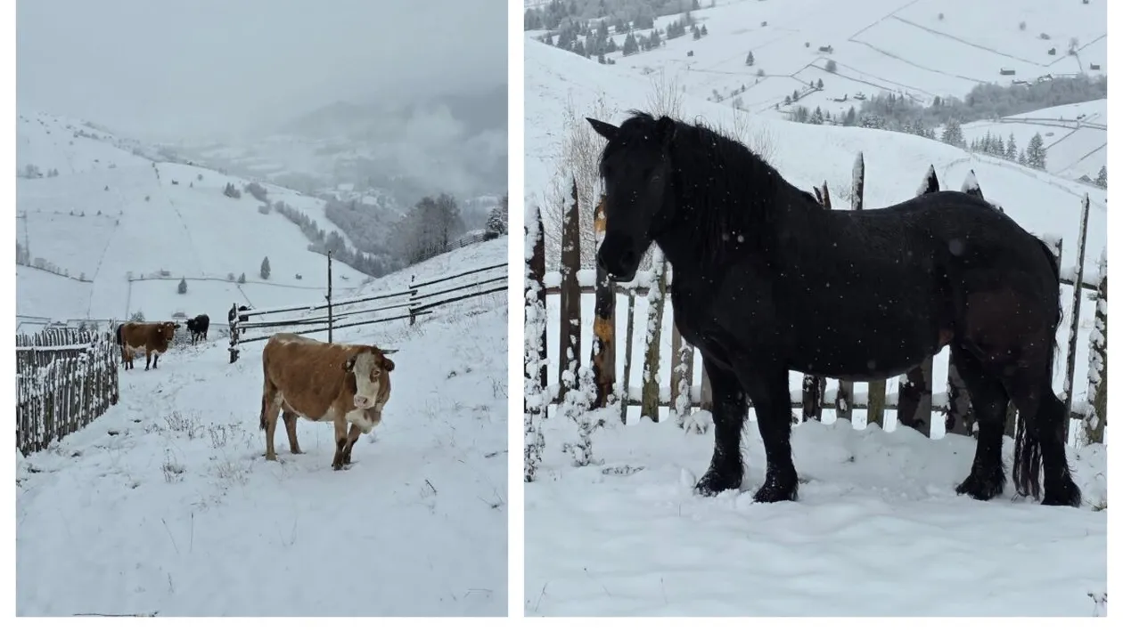 Localitatea din România în care ninge ca în mijlocul iernii! Imagini de ultimă oră