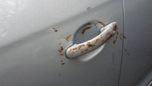 Un şofer român a parcat neregulamentar, iar ce a urmat întrece orice închipuire! Cum şi-a găsit maşina 