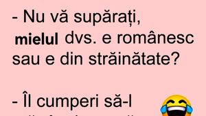 BANCUL ZILEI | "Mielul dumneavoastră e românesc sau din străinătate?"