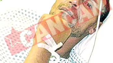 Si-au mancat tovarasii de calatorie