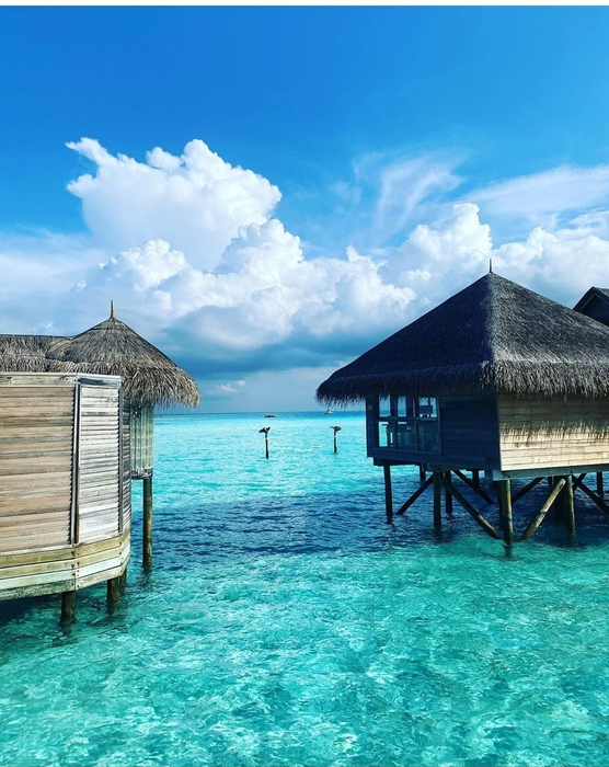 Delia Maldive