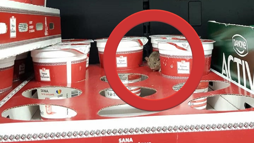 Scandalul șoarecelui de la Kaufland se amplifică. Magazinul, amendat de DSVSA Arad. Între timp a apărut și un cașcaval ros! Hipermarketul a făcut plângere penală pentru înșelătorie