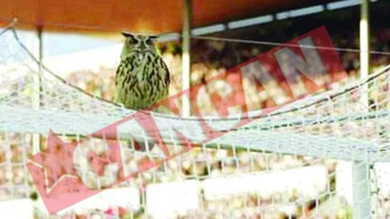 Bufnita care a speriat Finlanda