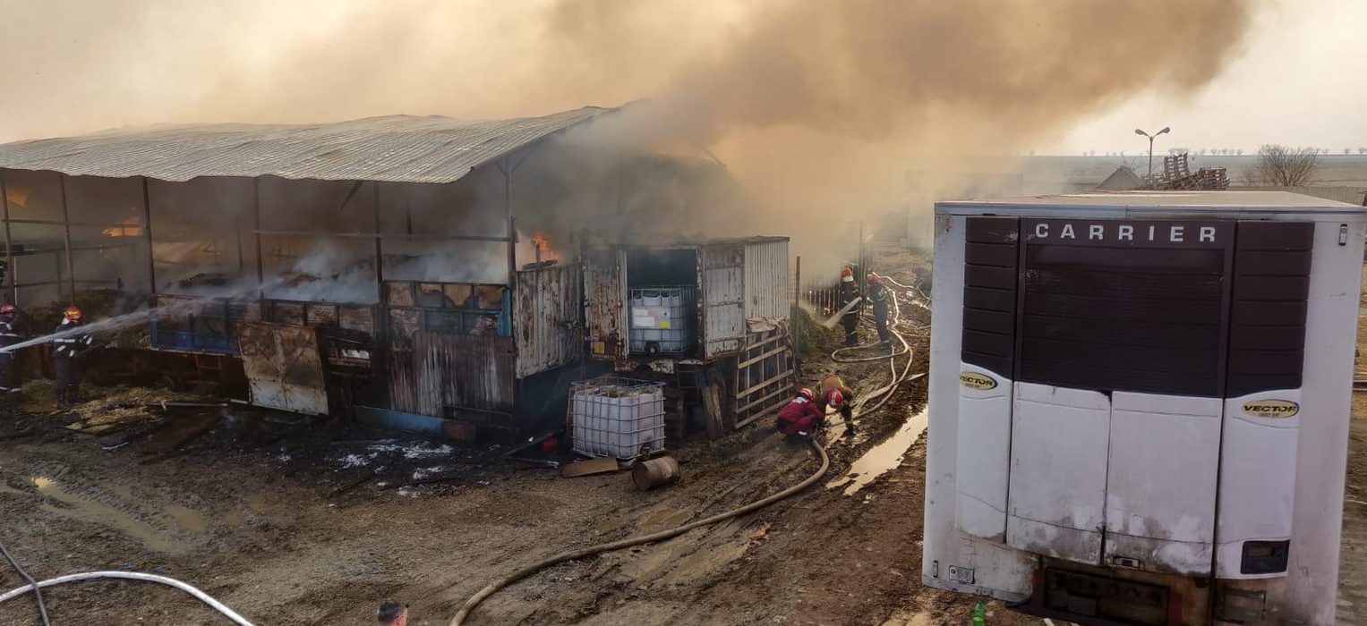 Incendiu violent în Prahova. Pompierii se luptă cu flăcări imense | VIDEO EXCLUSIV