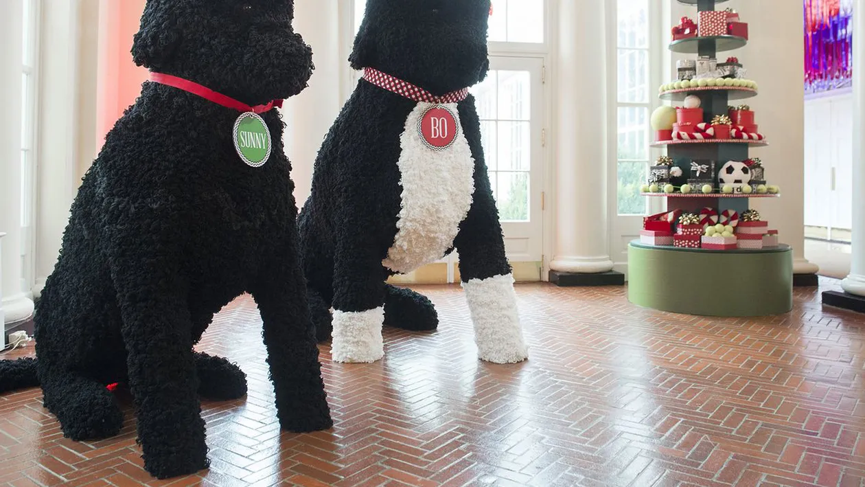 Ultimul Crăciun la Casa Albă! Cum arată decoraţiunile prezentate de MICHELLE OBAMA:''Tot ceea ce vedeţi se poate mânca '' 