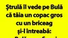 Bancul de duminică | Ștrulă îl vede pe Bulă că tăia un copac gros cu un briceag