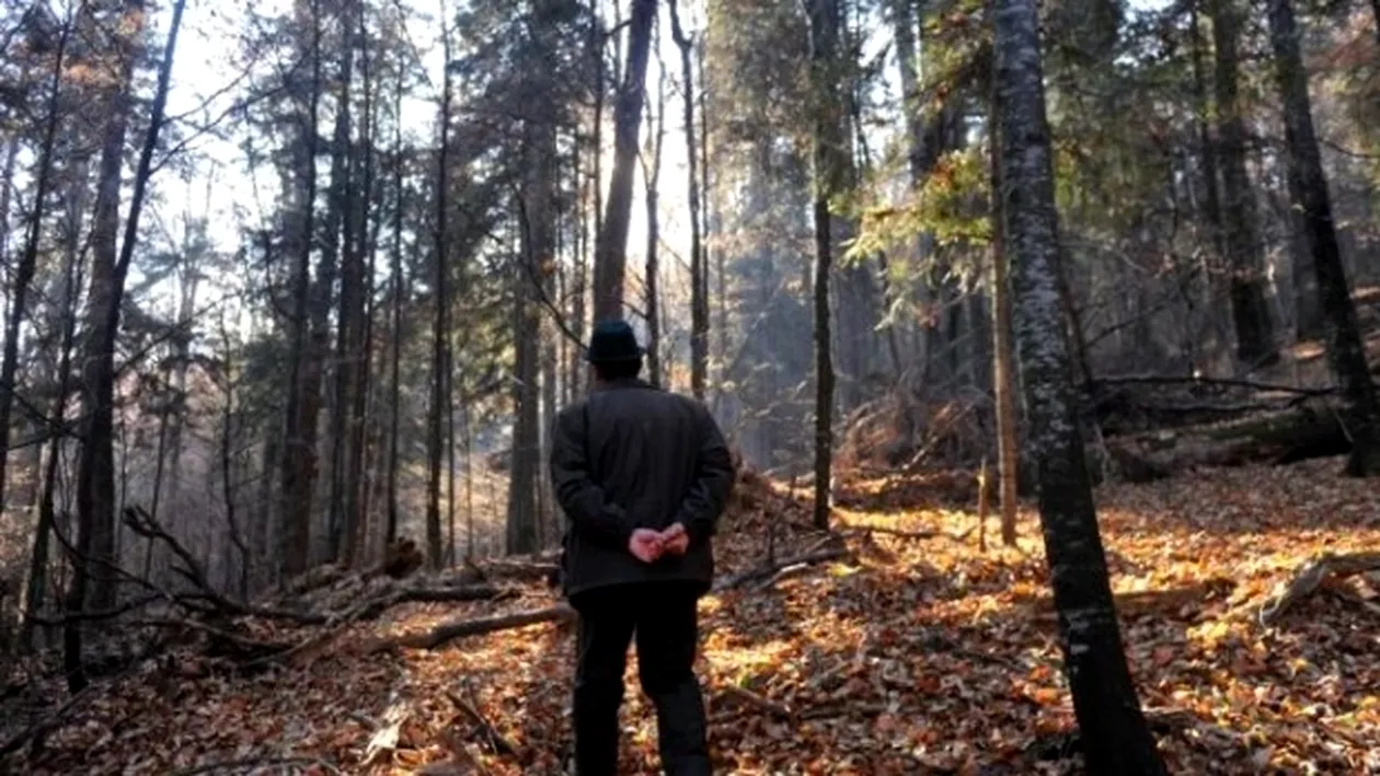O tânără de 27 de ani din Vaslui, băgată în sac şi aruncată în pădure. Cine este agresorul