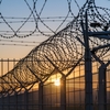 Un român s-a întors în Italia pentru o nuntă și a ajuns direct în închisoare! A fost eliberat după 39 de zile