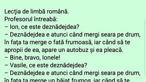 BANC | Ion și deznădejdea