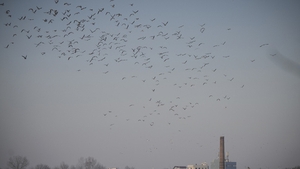 METEO 4 IULIE! Ce anunţă meteorologii pentru ziua de marţi