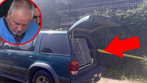 Detaliul înfiorător a ieșit la iveală. Cum și-a modificat Gheorghe Dincă mașina pentru a-și putea răpi și sechestra victimele