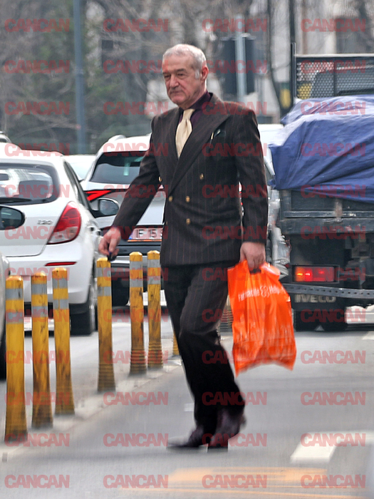 Gigi Becali este finanțatorul FCSB