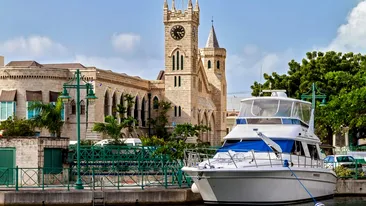 Cel mai mic șarpe din lume are doar 10 cm. A reapărut în Barbados, la 20 de ani de la ultima apariție