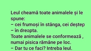BANC | Leul cheamă toată animalele și le spune: "Cei frumoși - în stânga. Cei deștepți - în dreapta!"