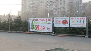 O brad frumos, vreau sa te iau in rate! Ce optiuni “low cost” au romanii pentru a-si cumpara pomul de Craciun!