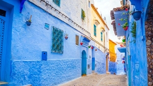 Iluzie optică virală | Găsiți pisica ascunsă pe această stradă din Grecia!
