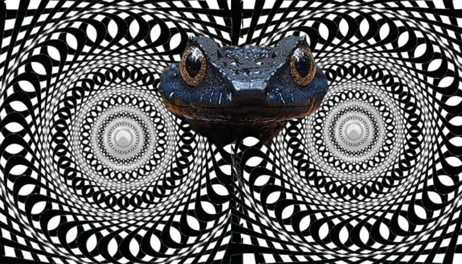 Iluzie Optica 
