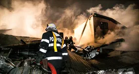 Galerie foto - poza 4