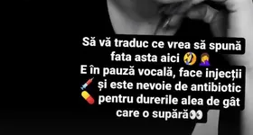 Galerie foto - poza 3