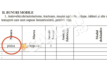 O functionara a Casei de Asigurari de Sanatate din Iasi a inscris animalul de companie la Bunuri Mobile. Si-a trecut pisica la rubrica avere