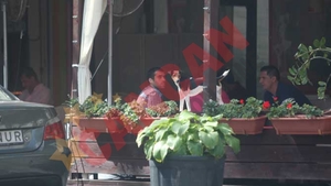 Maftei, "atacat" de un "caine"!