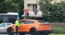 Galerie foto - poza 4