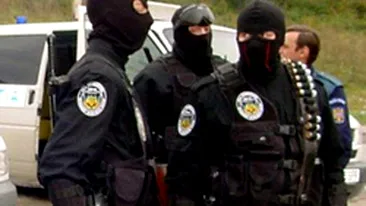 Perchezitii in Ilfov, Dambovita si Constanta. Cinci persoane sunt suspectate de trafic cu masini inchiriate