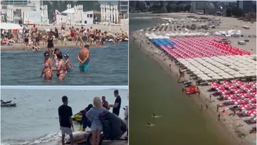 Apariție tulburătoare pe litoralul românesc. Lumea s-a strâns cu sutele să vadă creatura moartă adusă de valuri la mal