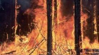 Sudul Frantei, afectat de incendii de vegetatie!