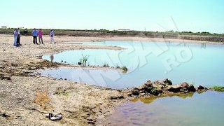 Inecate in balta primariei
