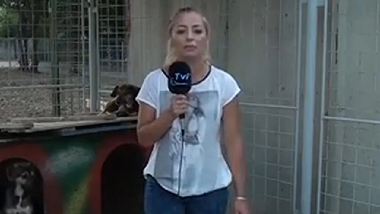 VIDEO Moment penibil pentru o reportera din Romania! Ce a patit in timp ce prezenta o stire: S-a p***t pe mine! Bai, nene!
