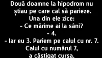 BANC | Două doamne, la hipodrom, nu știau pe ce cal să parieze: Ce mărime ai la sâni?