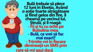 BANC | Bulă trebuie să plece 12 luni în Elveția și îl roagă pe Ștrulă să stea "de șase" la ce face Bubulina